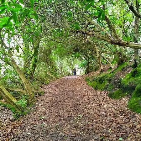 Tranquil Sea View In *
