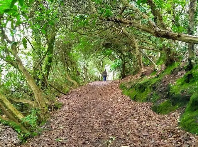 Tranquil Sea View In *